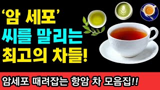 차 좋아하는 암환자 주목 암세포 때려잡는 최강의 항암 차 I 니시노 호요쿠 I 암이 사라지는 식사 I 암 억제 식품사전 [upl. by Yrod830]