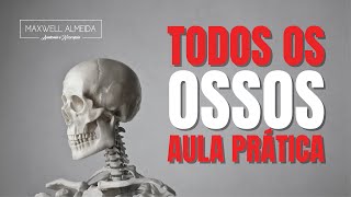 Explicação rápida de TODOS os OSSOS do corpo humano  AULA PRÁTICA no Anatômico [upl. by Leirbma]