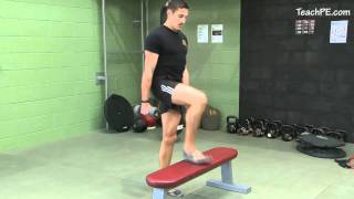 Free weight exercises  Dumbbell Step Up [upl. by Amalbergas]