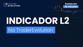 Indicador L2 no TraderEvolution [upl. by Aevin]