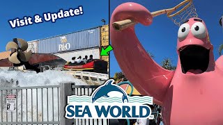 Sea World Gold Coast  December 2023 Park Visit amp Update  Theme Park Video [upl. by Philbo924]