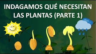 🌱INDAGAMOS QUÉ NECESITAN LAS PLANTAS PARTE 1 LA GERMINACIÓNSemana 27Día 2 2°grado [upl. by Fillian]