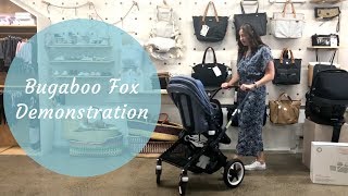 Bugaboo Fox Demonstration [upl. by Hujsak388]