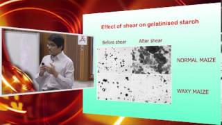 IMK421  Lecture 6  18th October 2012 — Starch Gelatinization Part 2 [upl. by Eidna]