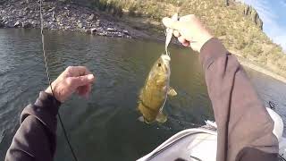 Fishing Prineville Reservoir end of summer 2024 [upl. by Enelear]