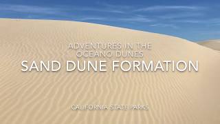 Sand Dune Formation and the Rock Cycle [upl. by Ecinehs]