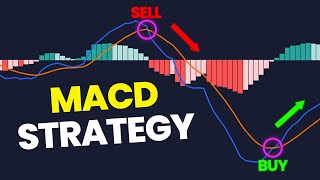 Most Effective MACD Trading Strategy High Winrate Strategy [upl. by Collin]