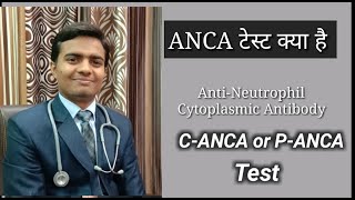 Anca test in hindi  C Anca Test  A anca Test  AntiNeutrophil Cytoplasmic Antibodies In Hindi [upl. by Aguie]