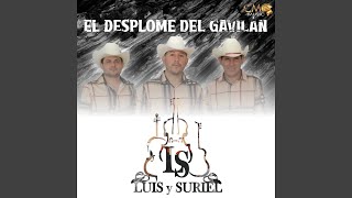 El Desplome Del Gavilán [upl. by Quintin]