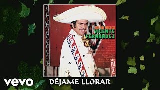 Vicente Fernández  Déjame Llorar Audio [upl. by Issor]