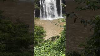 Cheapest hidden gem picnic spot at Thika town [upl. by Eliot]