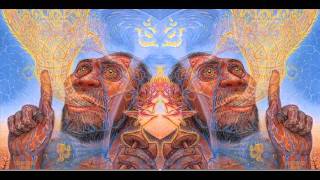 The Transformations Of LanguageTerence McKenna FULL [upl. by Uthrop697]