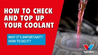 How To Flush and Fill Antifreeze amp Coolant  PEAK Auto [upl. by Sibel747]