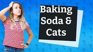 Is baking soda harmful to cats [upl. by Barty901]