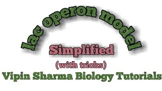 Regulation of gene expression lac operon concept  simplified for NEET and AIIMS [upl. by Aviv]