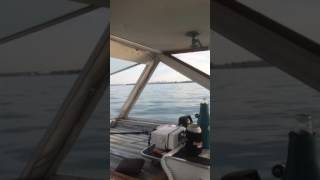 Chicago boating on a Marinette 28 [upl. by Noda]