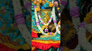 adharam madhuram vrindavan radhavallabh shortsfeed [upl. by Sillyrama]