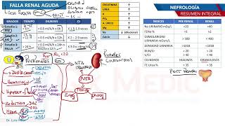 Nefrología  Falla renal aguda [upl. by Leinadnhoj733]