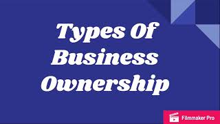 Types Of Business Ownership [upl. by Sibylle]