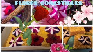 FLORES COMESTIBLES Y RECETA 🌺⚘️🌼🌹🥀 [upl. by Ttevy]