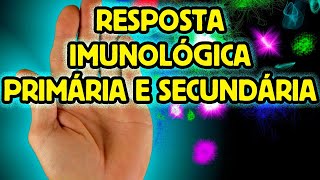 Resposta Imunológica Primária e Secundária [upl. by Bartolomeo735]