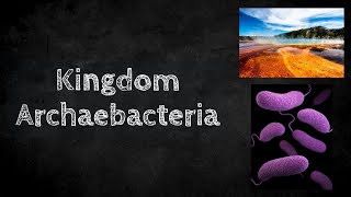 Kingdom Archaebacteria [upl. by Aynav]