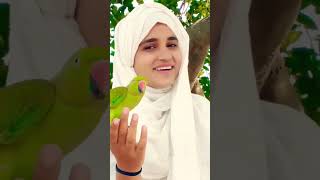 Parrot ne Kati kar li🤣👽 parrot birds cute lovebirds yt shorts [upl. by Harobed]