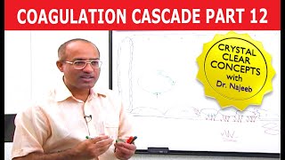 Coagulation Cascade  Part 1212 [upl. by Follmer982]