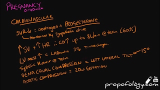 Physiology in Pregnancy in 5 minutes Physiology [upl. by Annawoj]