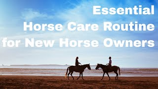 Essential Horse Care Routine for New Horse Owners 🏇 [upl. by Arreik652]