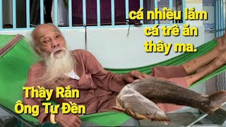 Thầy Rắn Ông Tư Đềnnói về cây lức biển và chuyện cá trê ăn thây ma bọt nổi dày trên nước [upl. by Ayram]