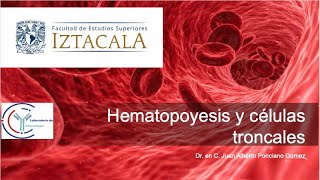 Hematopoyesis y células troncales [upl. by Eicram]