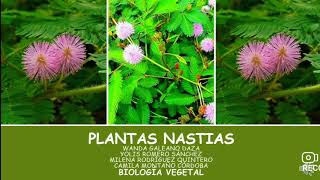 MOVIMIENTO DE LAS PLANTAS NASTIAS [upl. by Ilenay]