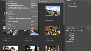 Photoshop Elements 90 Tutorial The Organizer Environment Adobe Training Lesson 21 [upl. by Aeriell906]