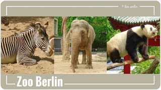 Zoo Berlin [upl. by Atsocal377]