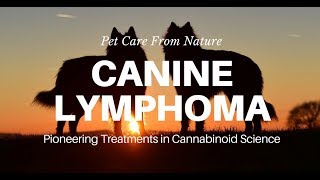 Lymphoma in Dogs  Lymphoid Cancer in Dogs [upl. by Nahtnahoj]