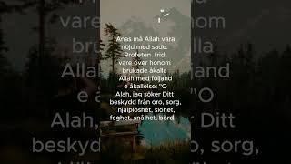 Hadith på svenska hadithpåsvenska islamse koranenpåsvenska [upl. by Anirda]