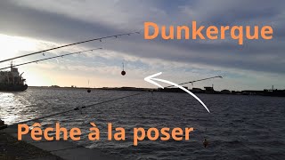 pêche en mer en bassin à Dunkerque  partie 1 [upl. by Eidoow]