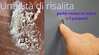 cosè lumidità di risalita e come risolvere [upl. by Calabrese]