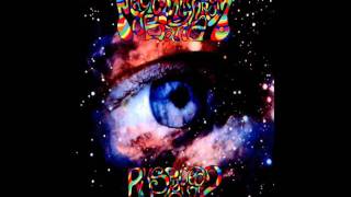 Magic Mushroom Band  Hurry On Sundown Hawkwind [upl. by Erdried]