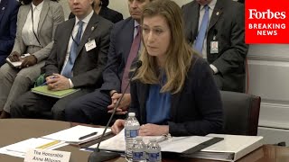 DEA Admininstrator Anne Milgram Testifies Before House Appropriations Committee [upl. by Imuyam166]