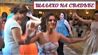 Шалахо на свадьбеShalaxo 🔥 potpourri 68 LIVEMusic video By KORG MAGia [upl. by Lorien]