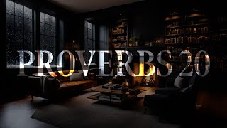 Proverbs 20  KJV  Audio Bible [upl. by Caria]