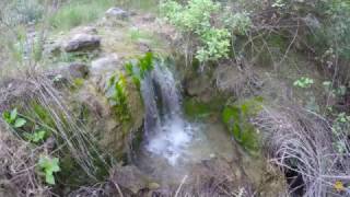 Ruta Botánica Sierra Tejeda Alcaucin ¡Vive la Montaña ¡Descubre Málaga [upl. by Verge762]