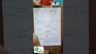 Coagulants and anticoagulants drug warfarin medicinal chemistry2 unit 3 sem 5 bpharm aapalpharmacy [upl. by Annawal771]