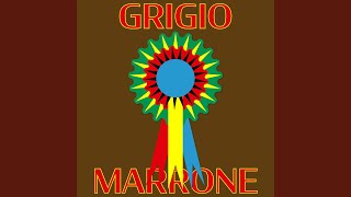 Grigio marrone [upl. by Midas561]