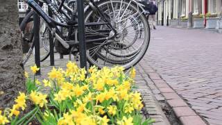 Escorted Tour of Holland  The Camping and Caravanning Club [upl. by Amri661]