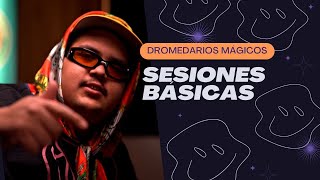 SESIONES BÁSICAS PRESENTA DROMEDARIOS MÁGICOS  EPISODIO 1 [upl. by Juan452]