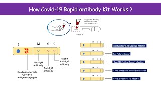 Rapid antibody test for Covid 19 [upl. by Harlie]