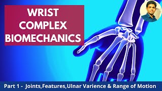 WRIST BIOMECHANICS WRIST COMPLEX  ULNAR VARIANCE PART 1 [upl. by Neirb]